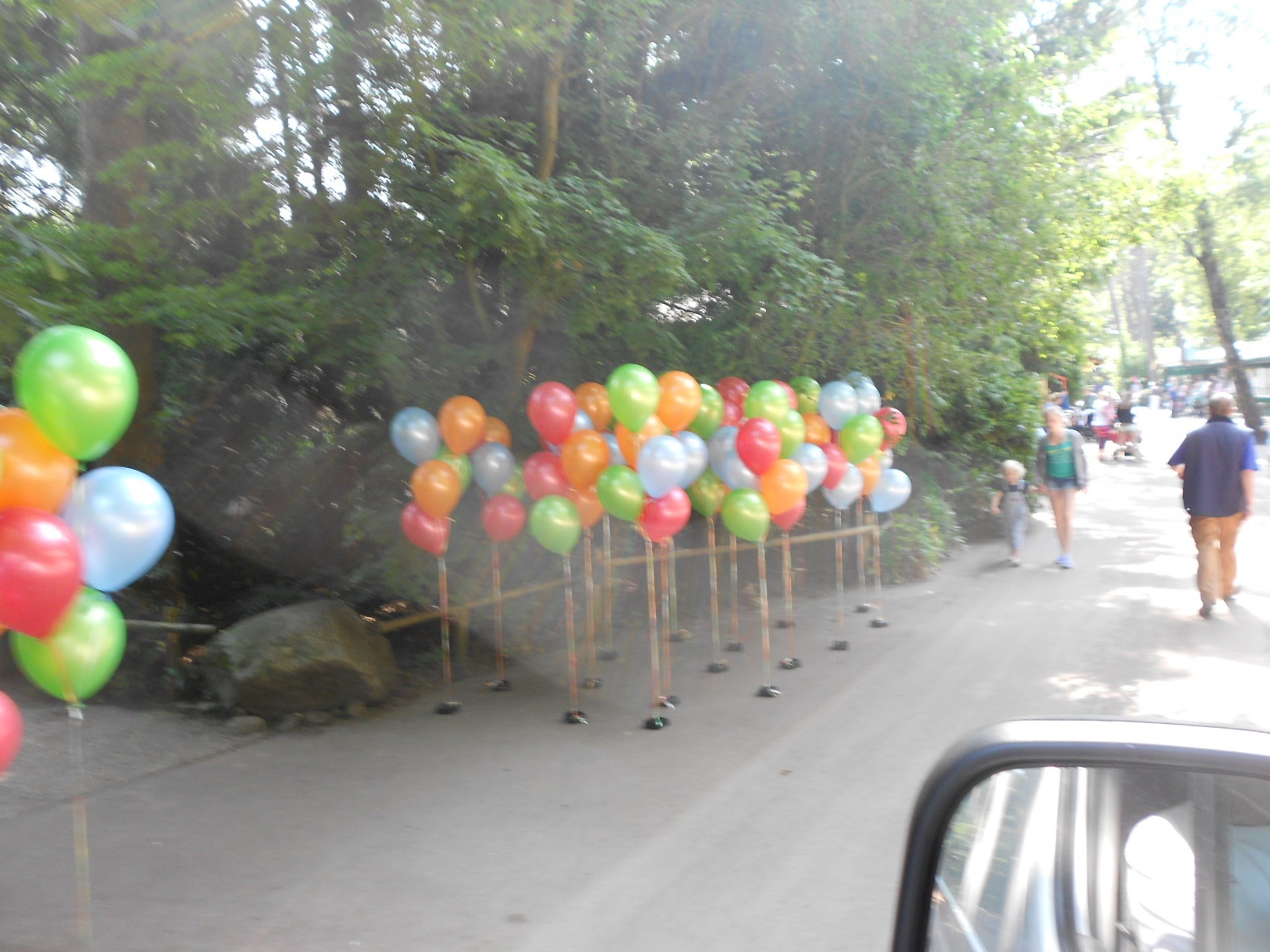 helium ballonnen decoraties in dierenpark Amersfoort evenement