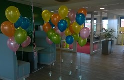helium ballonnen trosjes gemeente Zaanstad