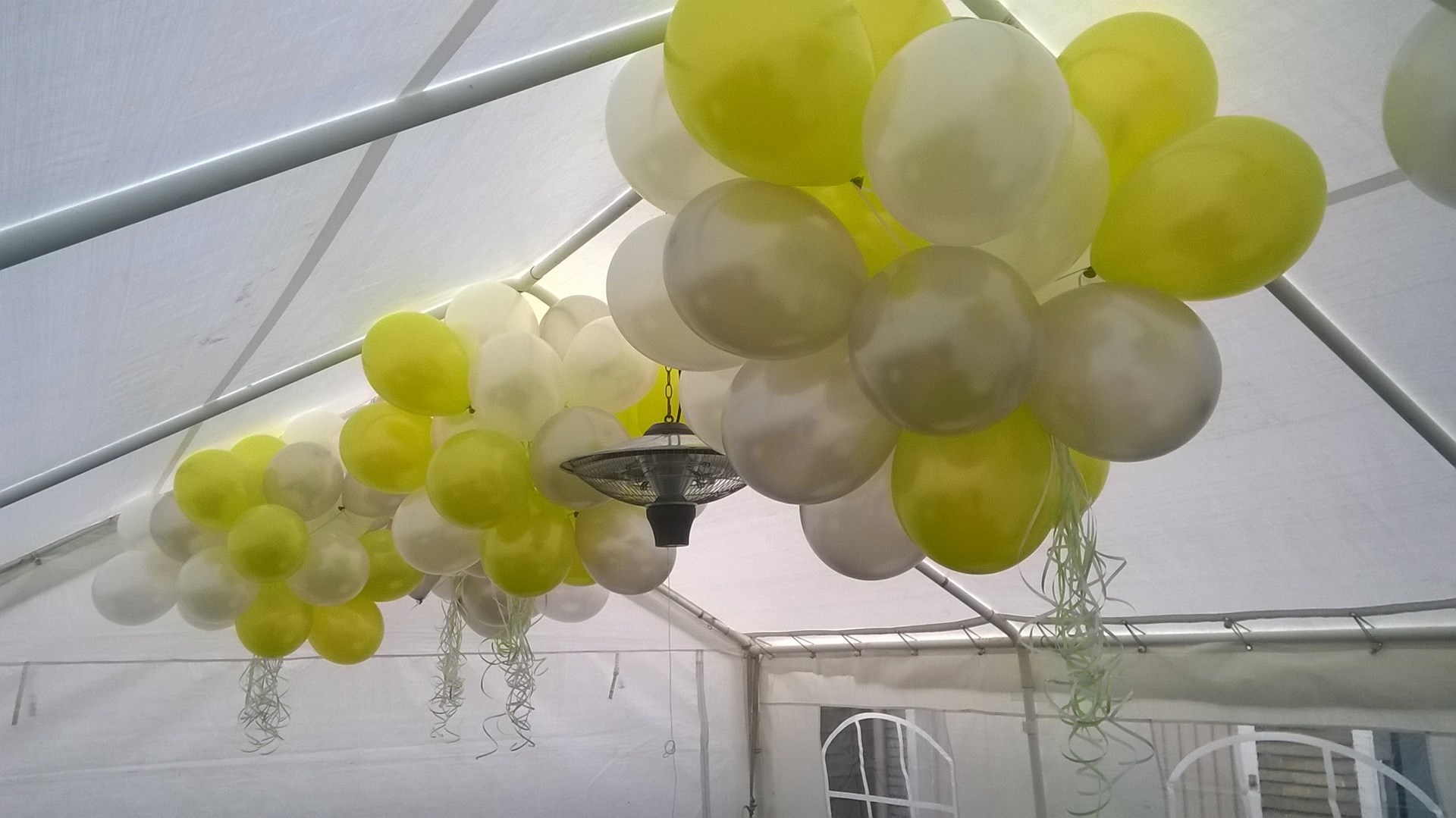 helium ballonnen in tent voor bruiloft
