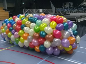 ballonnen net 