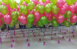 ballonnen decoraties essent energiedirect zwolle den bosch