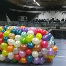 ballonnen netten voor Schiedam Proms 