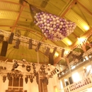ballonnen net vanaf €275,00 voor een net van 500 ballonnen met luchtballonnen