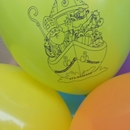 bedrukte ballonnen voor Sinterklaas intocht Wormer Watercentrum Wormer 