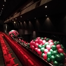 ballonnen netten voor dropping Beatrix theater Utrecht