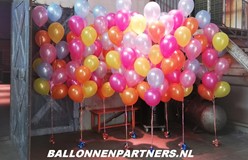 ballonnen tros kopen met helium