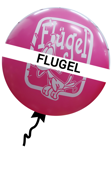 ballonnen voor Flugel